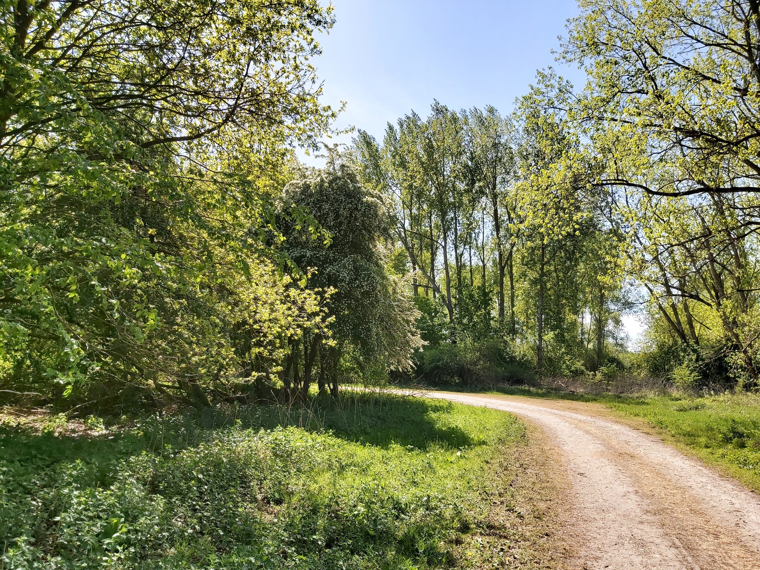Wandelen Stille Kern - Horsterwold wandelroutes struinen