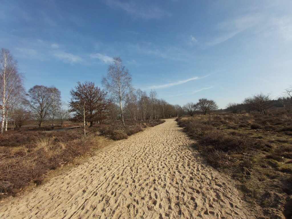 Ermelose heide Romeins Marskamp schapen