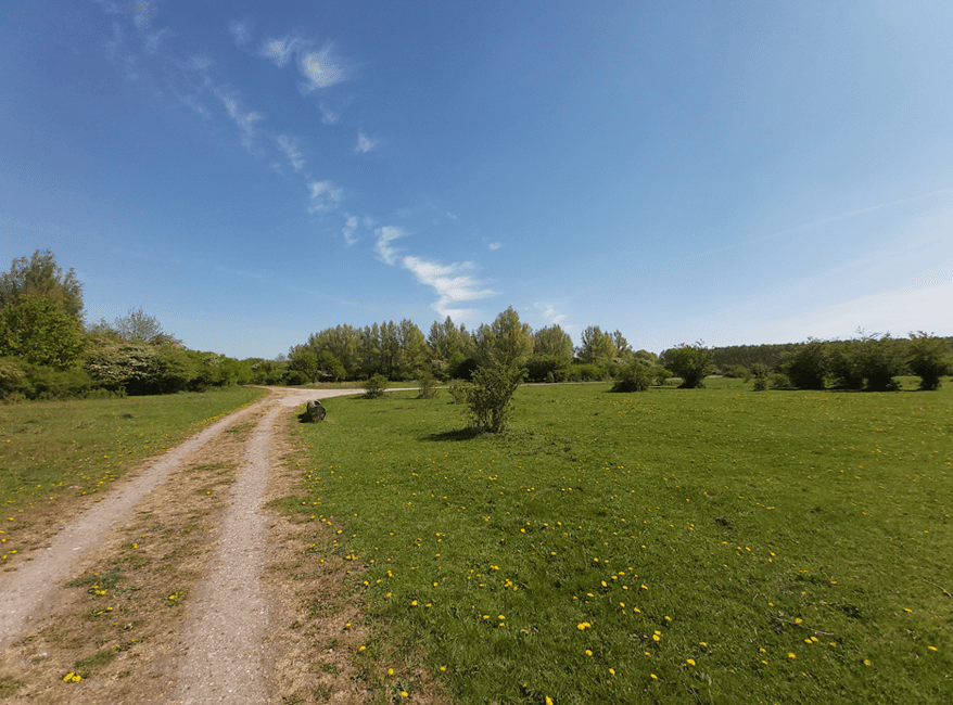 Wandelen Stille Kern - Horsterwold uitzichtpunt