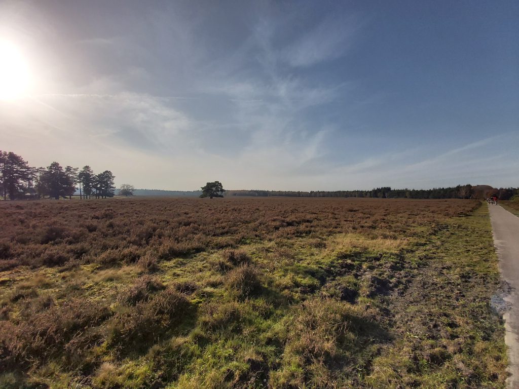 Renderklippen wandelen mooie wandeling Veluwe