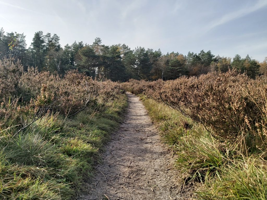 Renderklippen wandelen mooie wandeling Veluwe