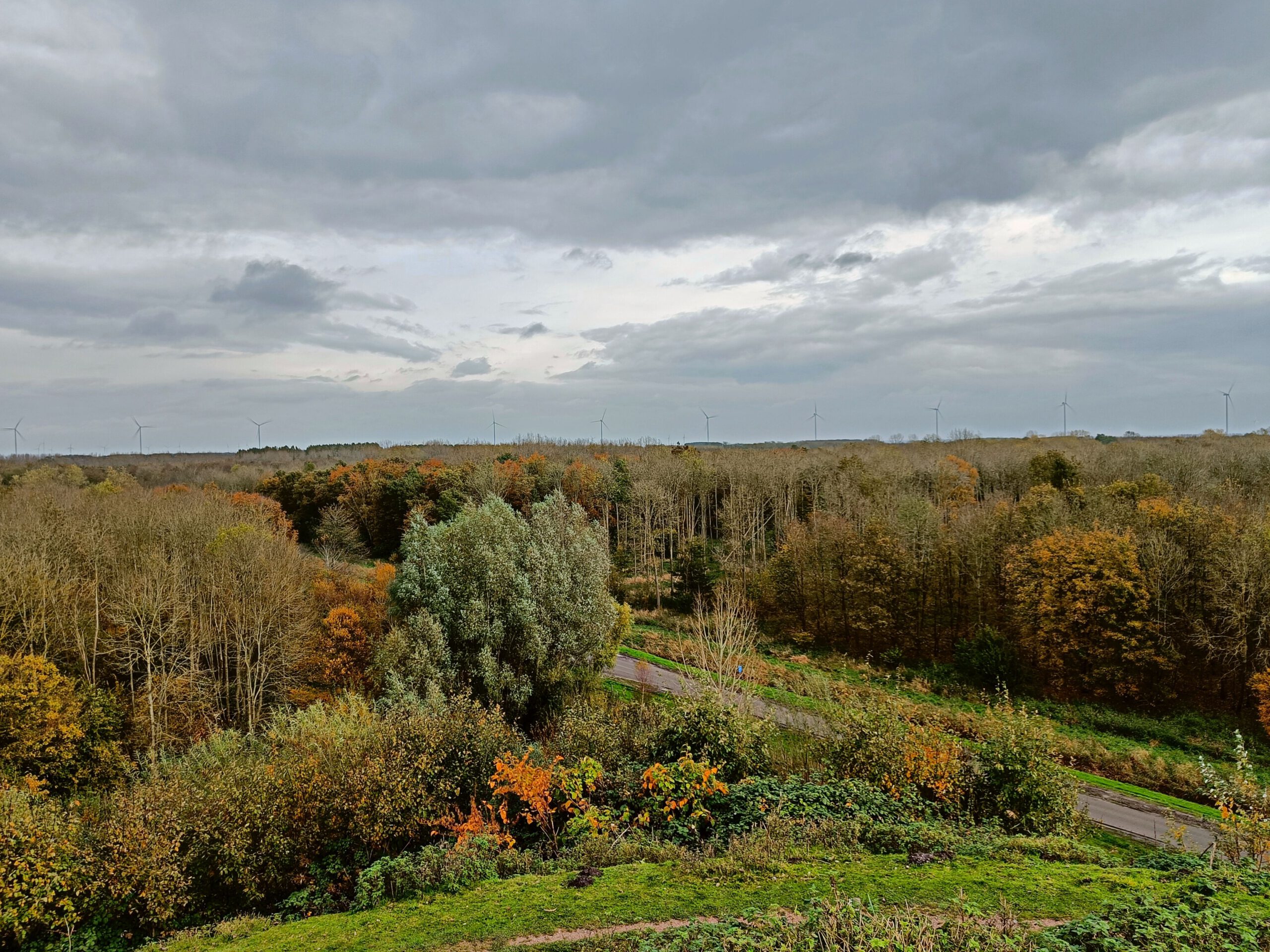 Museumbos Cirkelbos Almere wandelen Almere Boven